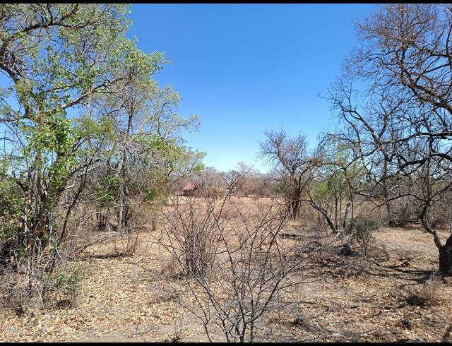 8.60HA SMALLHOLDING SOLD IN LUSTHOF